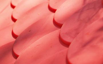 Bathgate plastic roof costs