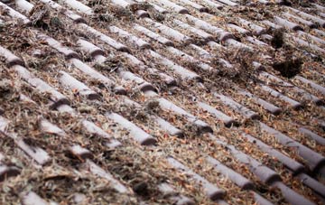 Bathgate roof cleaning companies